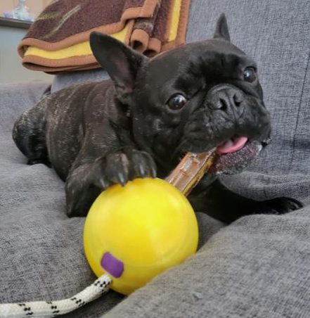 Client Spotlight: Monchball