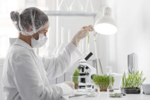 Side View Woman In Lab Examining Plant