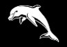 Dolphins tm 5